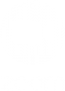 Zoom-Logo